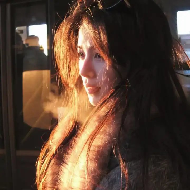 立花登青春备忘录